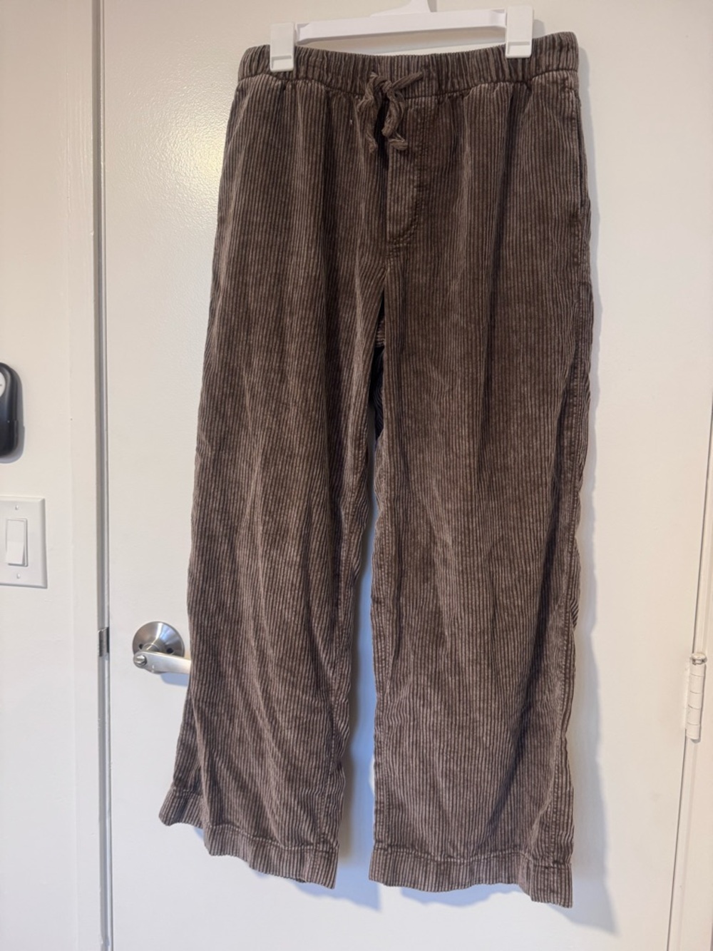 American Eagle Outfitters Mens Corduroy Drawstring Pants in Brown